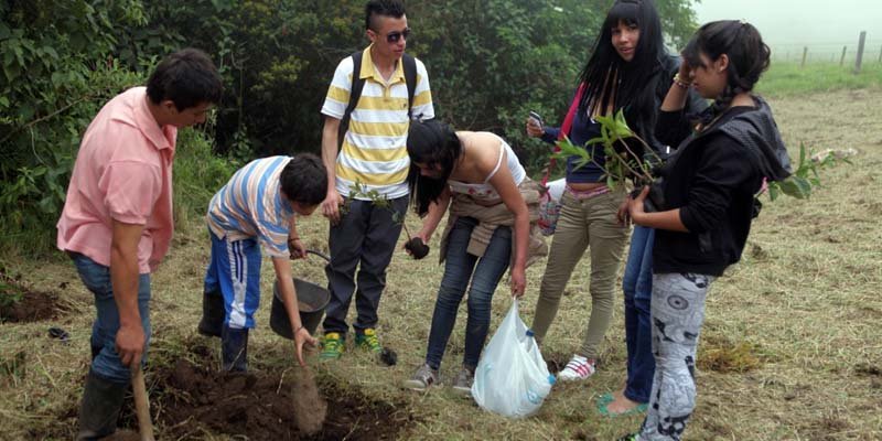 Bosques y árboles esenciales para un futuro sostenible en Cundinamarca







