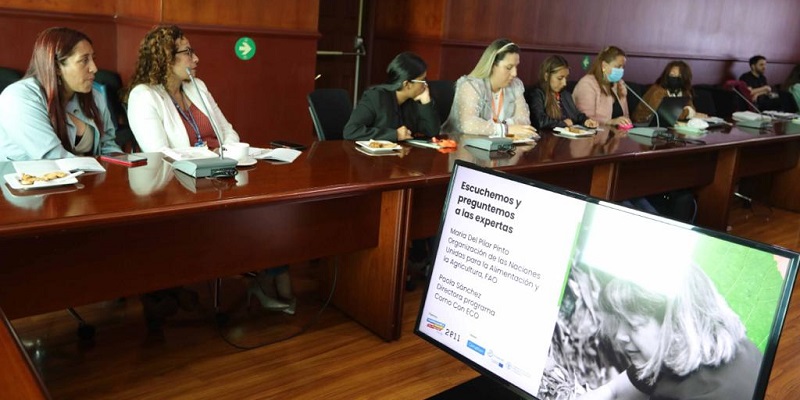 Colegios de Cundinamarca internacionalizan soluciones contra el cambio climático


