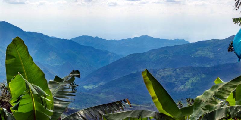 Alrededor de $389 millones se invertirán para recuperación y conservación ambiental en los municipios de Chaguaní y Nilo



