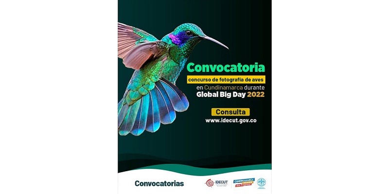 Abierta la convocatoria del concurso de fotografía de aves







