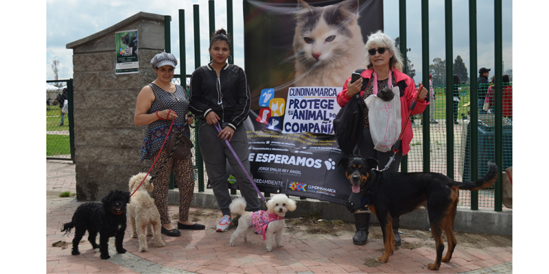 Cundinamarca consiente tu animal de compañía







































