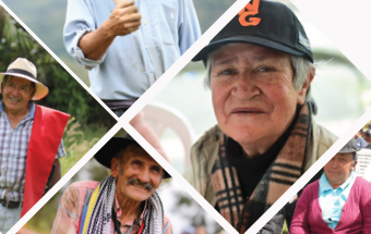 Imagen: GUÍA JURÍDICA DE LAS ENTIDADES SIN ÁNIMODE LUCRO 