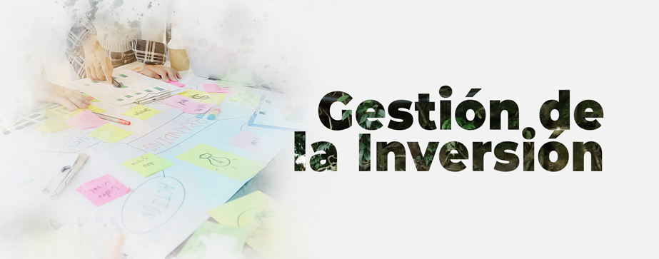 Imagen  Gestión de la Inversión