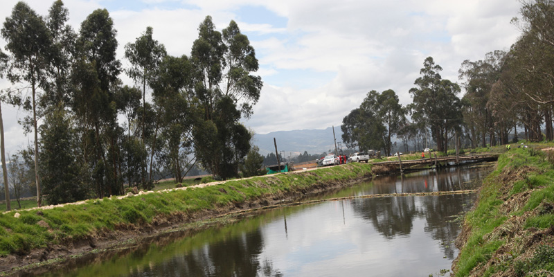 Se entregan 25.581 árboles para reforestar cuenca del río Bogotá











