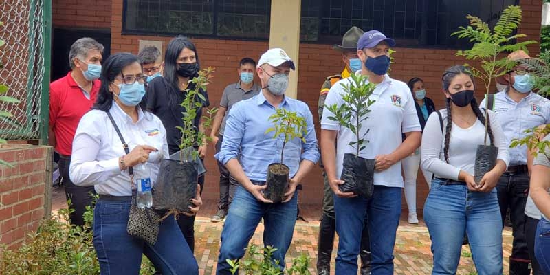 500 árboles de nueve especies fueron sembrados en instituciones educativas de Pacho





