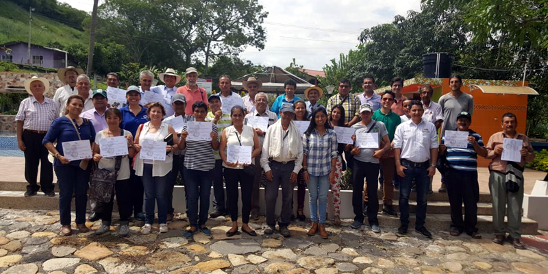 Cundinamarca innova en cultivos de mango, naranja y mandarina