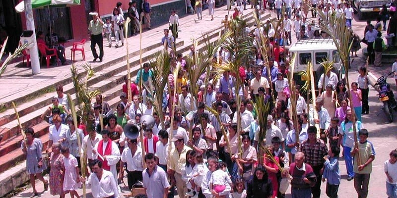 Llamado a cuidar los ecosistemas durante la Semana Santa

