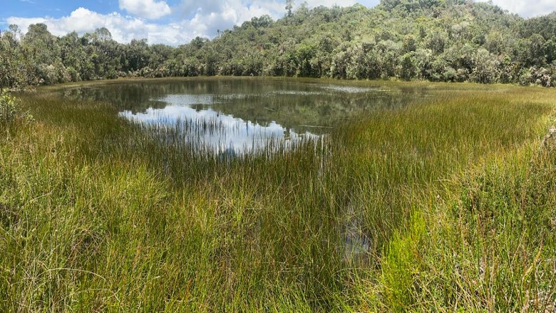 Cundinamarca continúa fortaleciendo la conservación del recurso hídrico de la región





