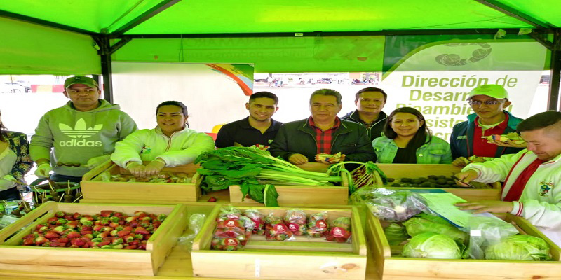 ‘Cambio verde’ en Soacha ha entregado 400 libras de alimentos y más de 400 huevos