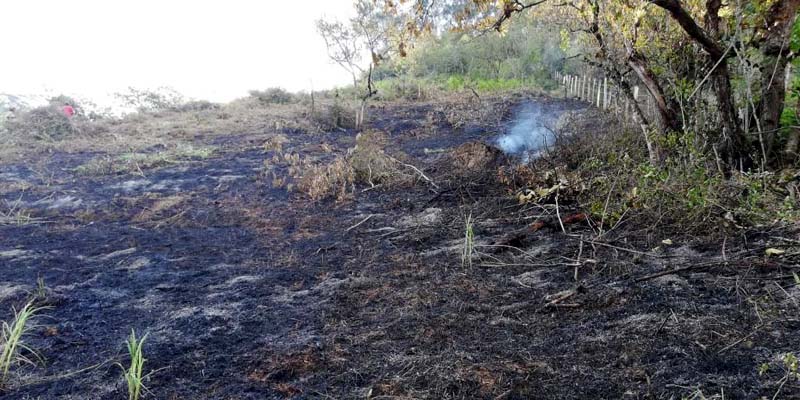 En Cundinamarca termina alerta roja por probabilidad de incendios forestales




