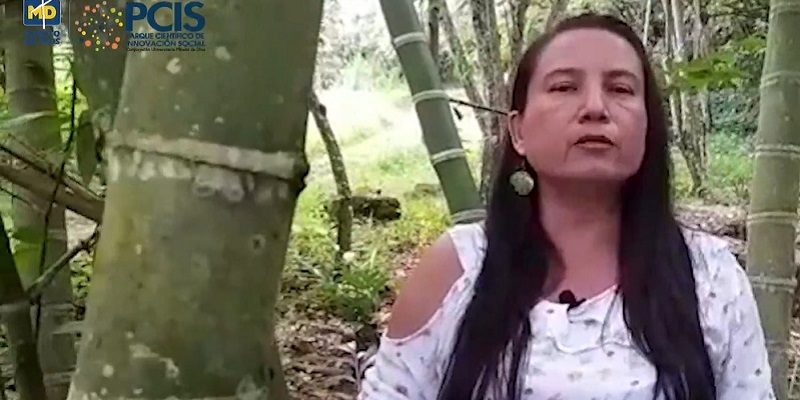 Cundinamarca eligió ganadores del concurso CTeI para la guadua










