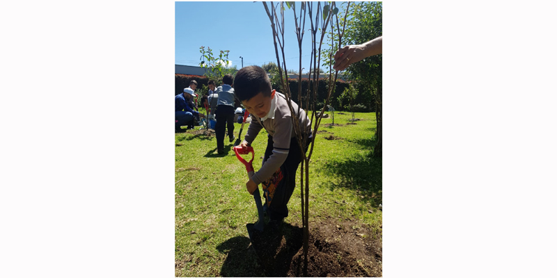 ‘Guerreros ambientales’ de Mosquera reforestan contra el cambio climático



 









