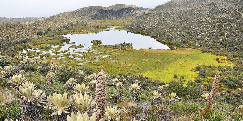 Ahorrar agua, una estrategia en Cundinamarca para todas las épocas del año



