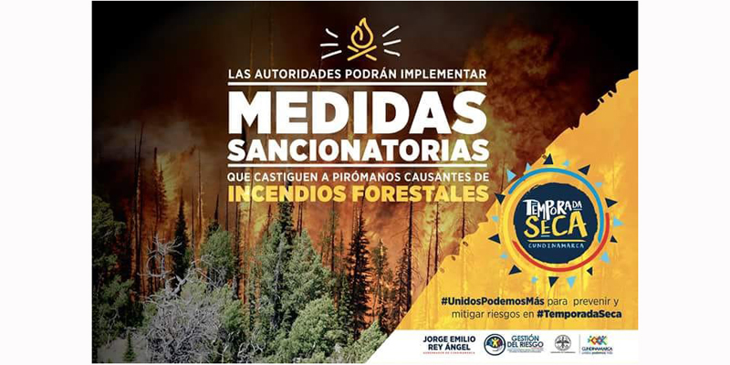 En lo corrido del año se han registrado más de 270 incendios forestales en Cundinamarca 





