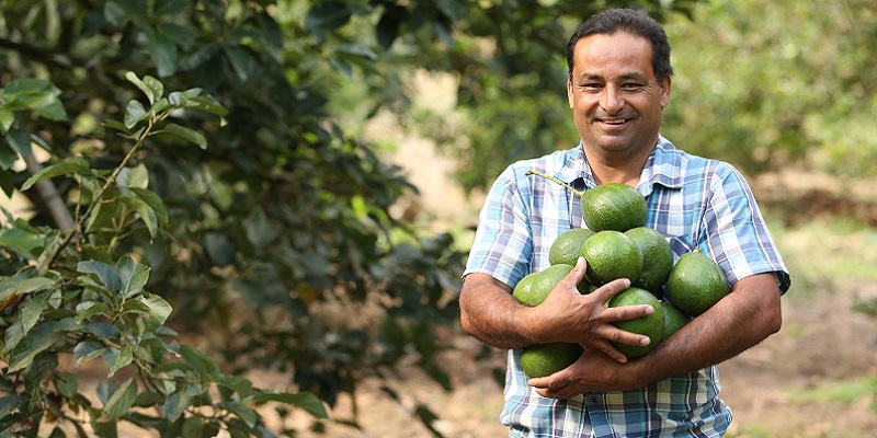 Todo lo que se necesita saber sobre el programa de apoyo a insumos agropecuarios en Cundinamarca