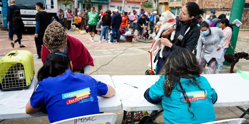 Cuarta jornada de bienestar animal conjunta entre Bogotá y Cundinamarca