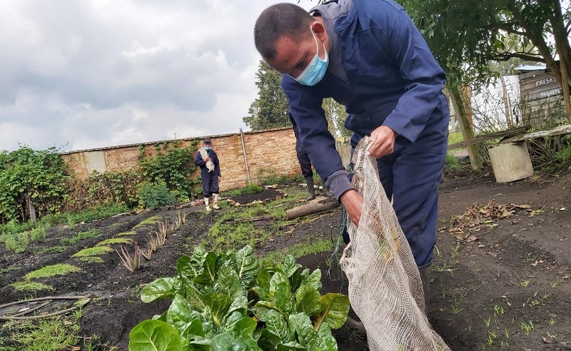 Centro masculino especial La Colonia comprometido con la preservación del medio ambiente