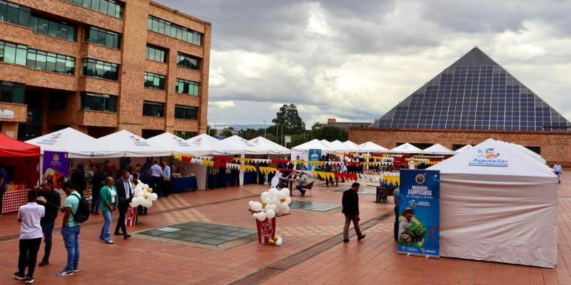 Segundo Mercado Campesino fortalece lazos entre pro

