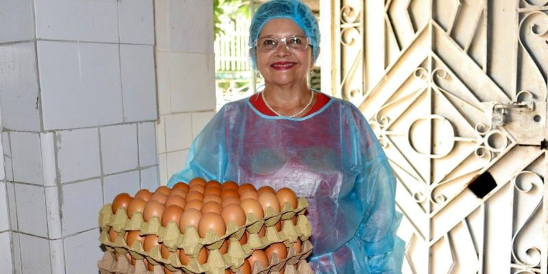 Más de 7.000 niños y niñas reciben alimentos frescos de campesinos cundinamarqueses a través del PAE