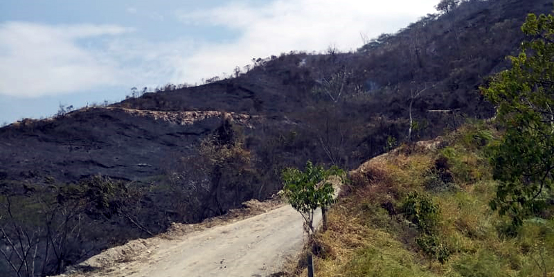Siete incendios forestales liquidados y dos activos en Cundinamarca


























