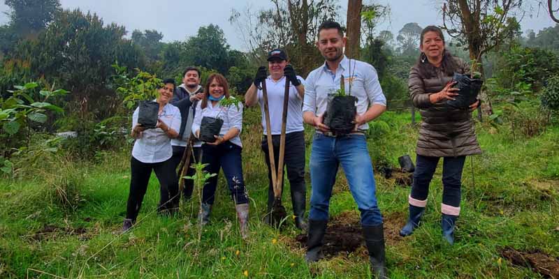 La Secretaria TIC sembró 1.000 árboles en Fusagasugá










