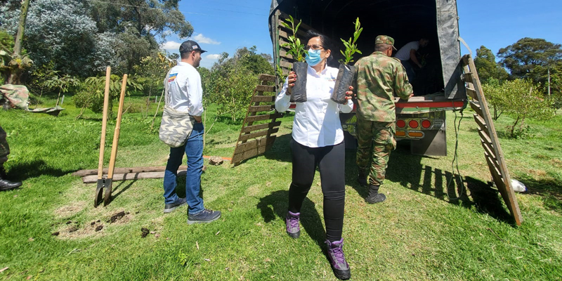 300 árboles de ocho especies fueron sembrados en la ronda del humedal Gualí de Funza










