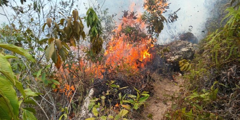 Cundinamarca reporta 15 incendios en 8 municipios, hay 90 hectáreas afectadas en dos días