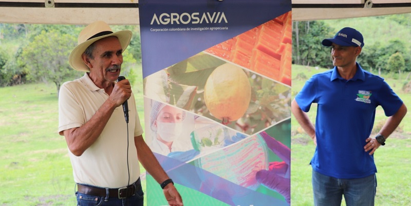 Paneleros cundinamarqueses con hornilla innovadora creada por Agrosavia 