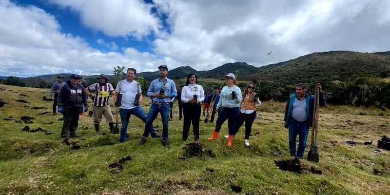 ‘Recicla con TIC’ logró la siembra de 6.000 árboles en Cundinamarca durante este cuatrienio
