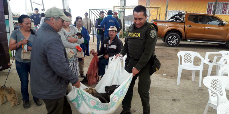 La campaña "Cundinamarca protege tu animal de compañía" llegó a La Vega
















