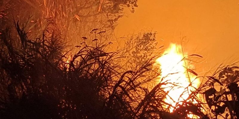 Cundinamarca enfrenta 263 incendios y 381 emergencias por lluvias entre enero y septiembre de 2025


