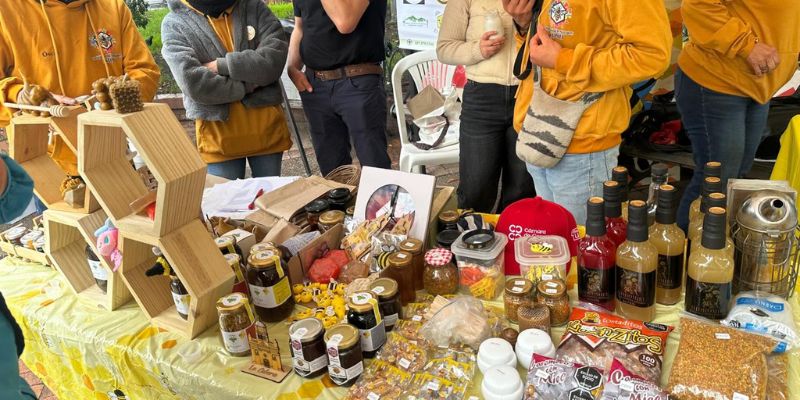 Cundinamarca impulsa la conservación ambiental con la Séptima Vitrina de Negocios Verdes


