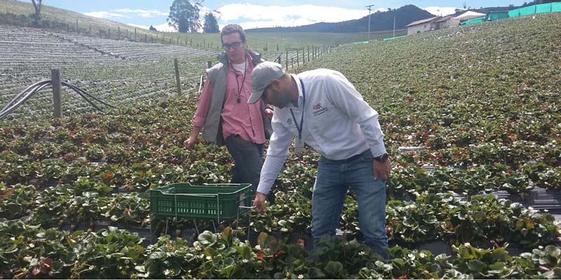 La ciencia, la tecnología y la innovación al servicio del sector agropecuario y agroindustrial de Bogotá y Cundinamarca









