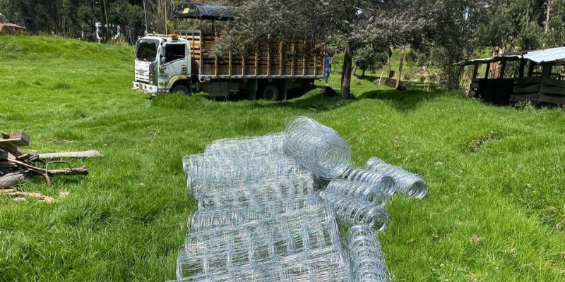 Gobernación y Alcaldía de Cucunubá entregan 50 ovejas de alta calidad genética a productores de lana