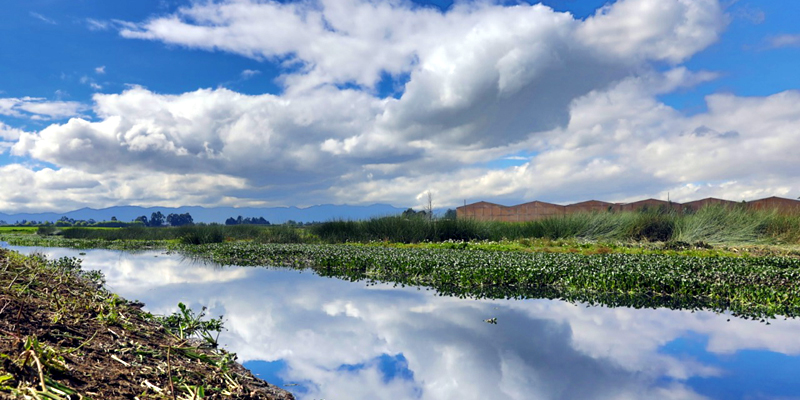 Cundinamarca, referente nacional en innovación y propuestas sostenibles
































