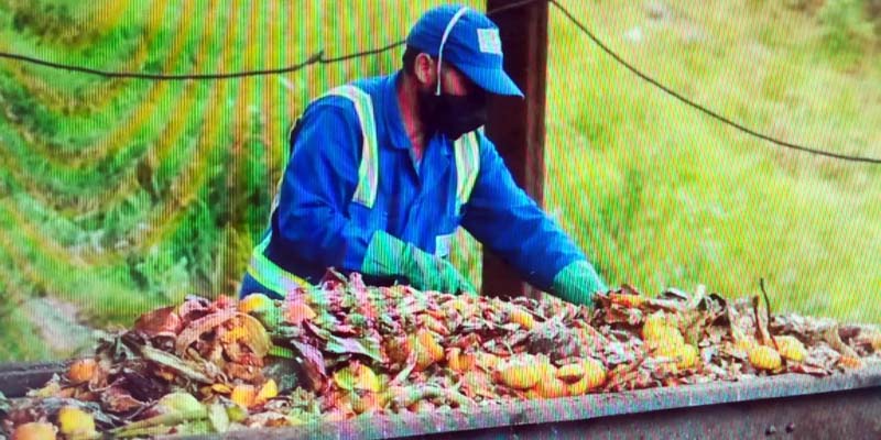 Reciclar, apoyo importante para el desarrollo sostenible






