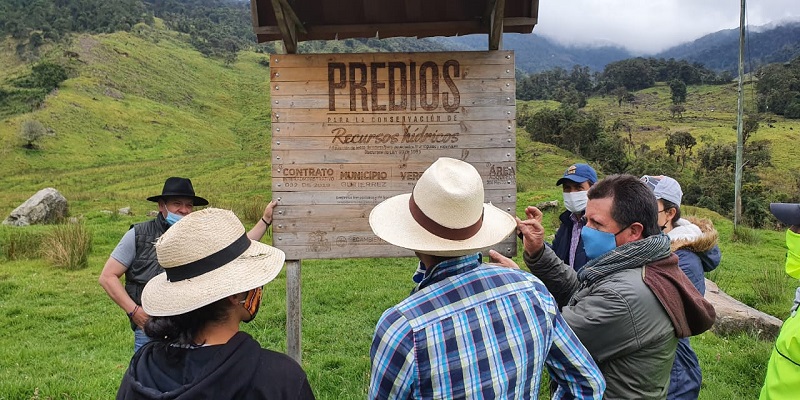 Abejas con la conservación un programa para restaurar los ecosistemas del territorio
