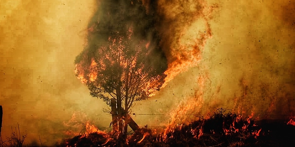 Cundinamarca supera temporada de incendios  


