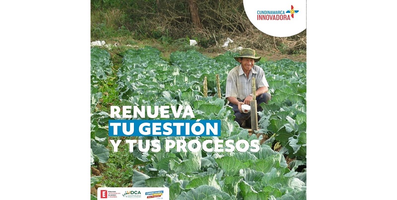 Gobierno departamental amplía plazo de la convocatoria Cundinamarca + Innovadora





