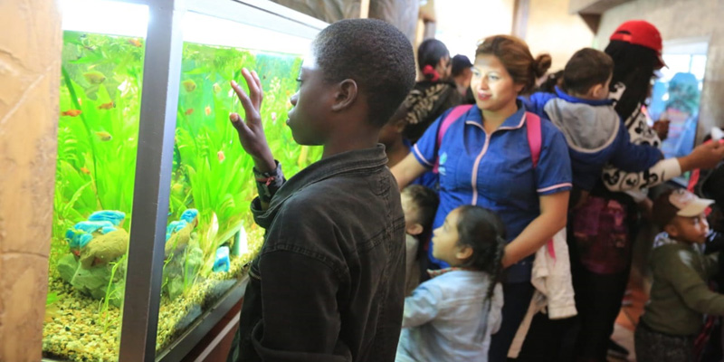 Un día inolvidable para niños y niñas de las comunidades afro e indígenas de Cundinamarca 











