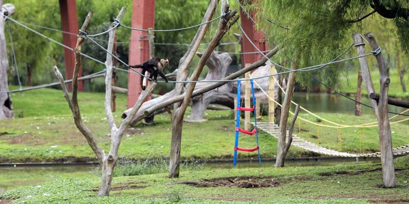 Gracias al trueque, animales del zoológico Jaime Duque, en Tocancipá y del santuario de osos, en Guasca, cuentan con alimentos una semana más





