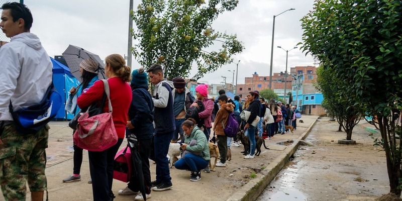 Cuarta jornada de bienestar animal conjunta entre Bogotá y Cundinamarca