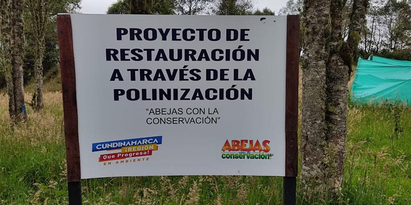 Cundinamarca protege predios con la polinización














