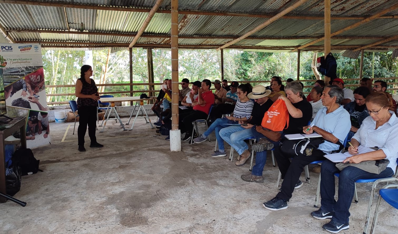 Finalizan réplicas de transferencia tecnológica para la Guadua en Cundinamarca