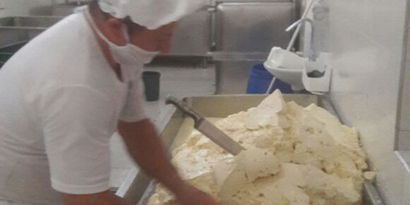 Pequeños productores de 13 municipios participan para acceder a certificación Invima














