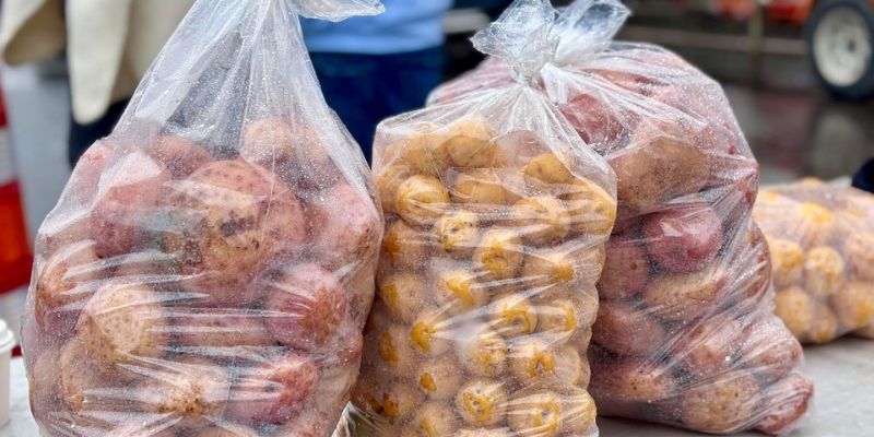Ventas de papa en Cundinamarca alcanzan cerca de $2.000 millones con estrategia de la Gobernación