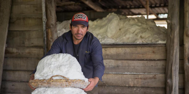 Reconocimiento a los ‘Mejores en Minería 2022’