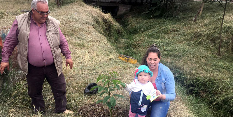 Por cada recién nacido en el hospital San Rafael de Fusagasugá se sembrará un árbol