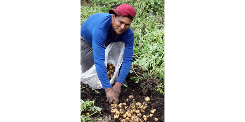 Cundinamarca rinde homenaje a los productores del campo
