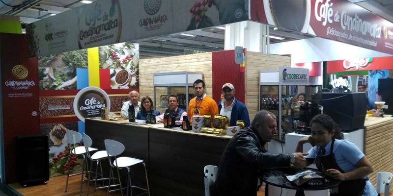 El departamento sabe a café


























































